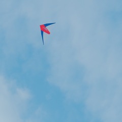D65245E8-ECEF-4763-86E0-776BB8936165/L0/001