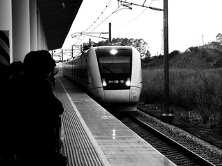 3308694