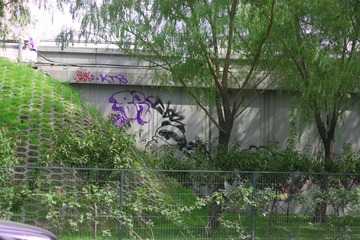 涂鸦