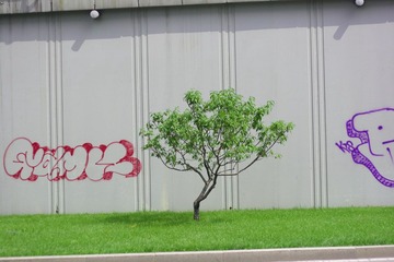 涂鸦