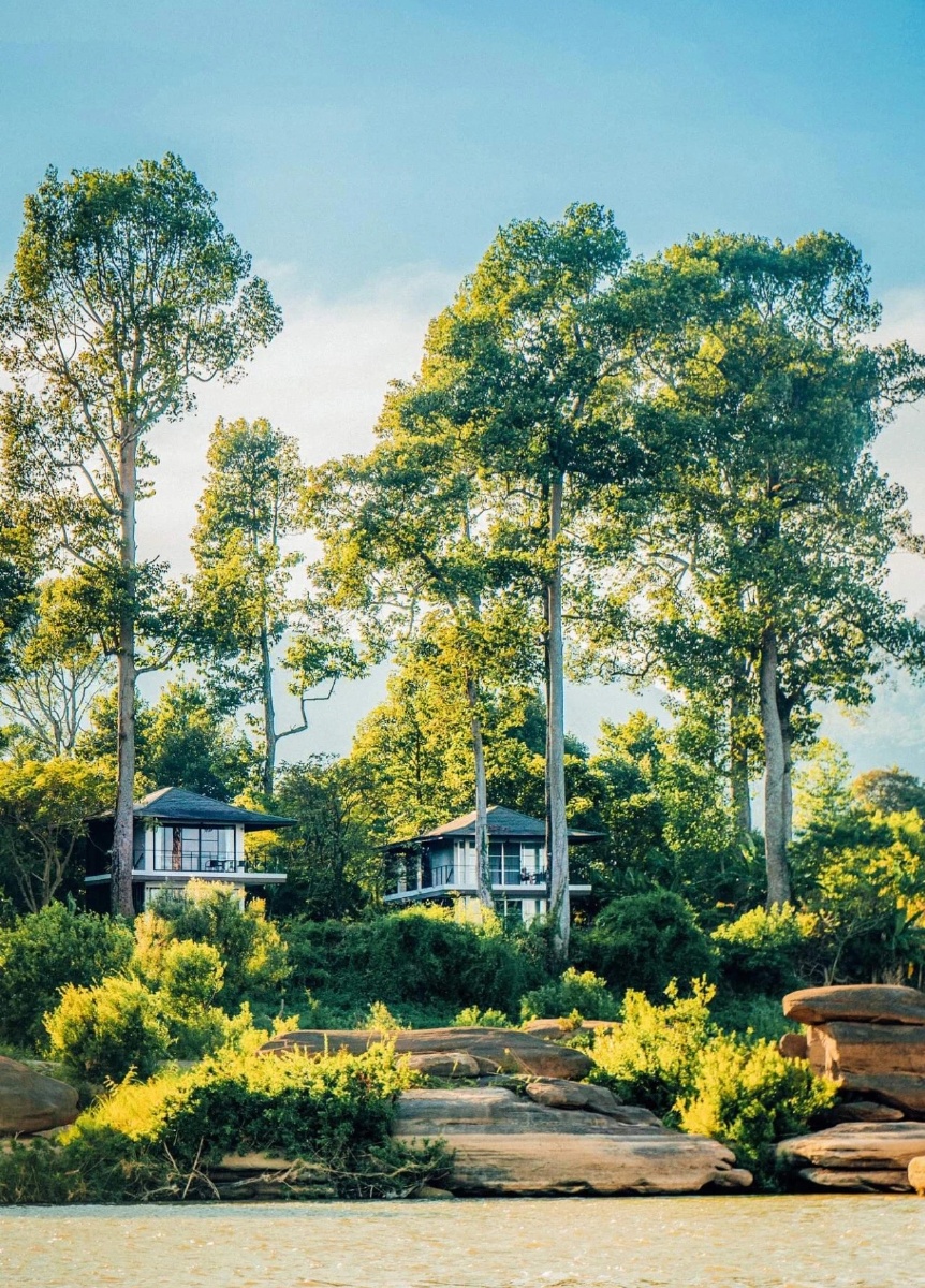 风景优美幽静中的森林度假村