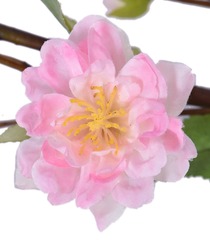 A3DCFF76-9767-4816-A824-8F75BEF0D32B/L0/001
