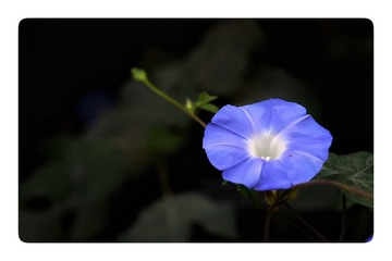 7BF543B2-739A-4830-A75C-D0E0E300EF1A/L0/001