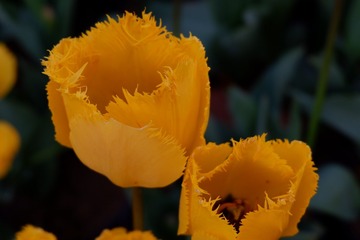 109B7C48-7AC1-4D70-A56A-DD29DD7646CC/L0/001