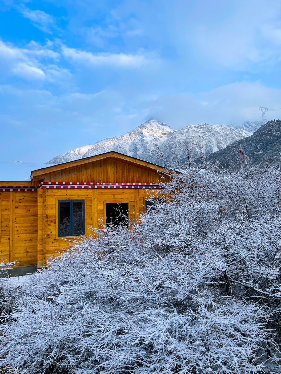 雪山下的小木屋然乌湖川藏线下了一夜的雪清晨树上挂满了树挂有那么一