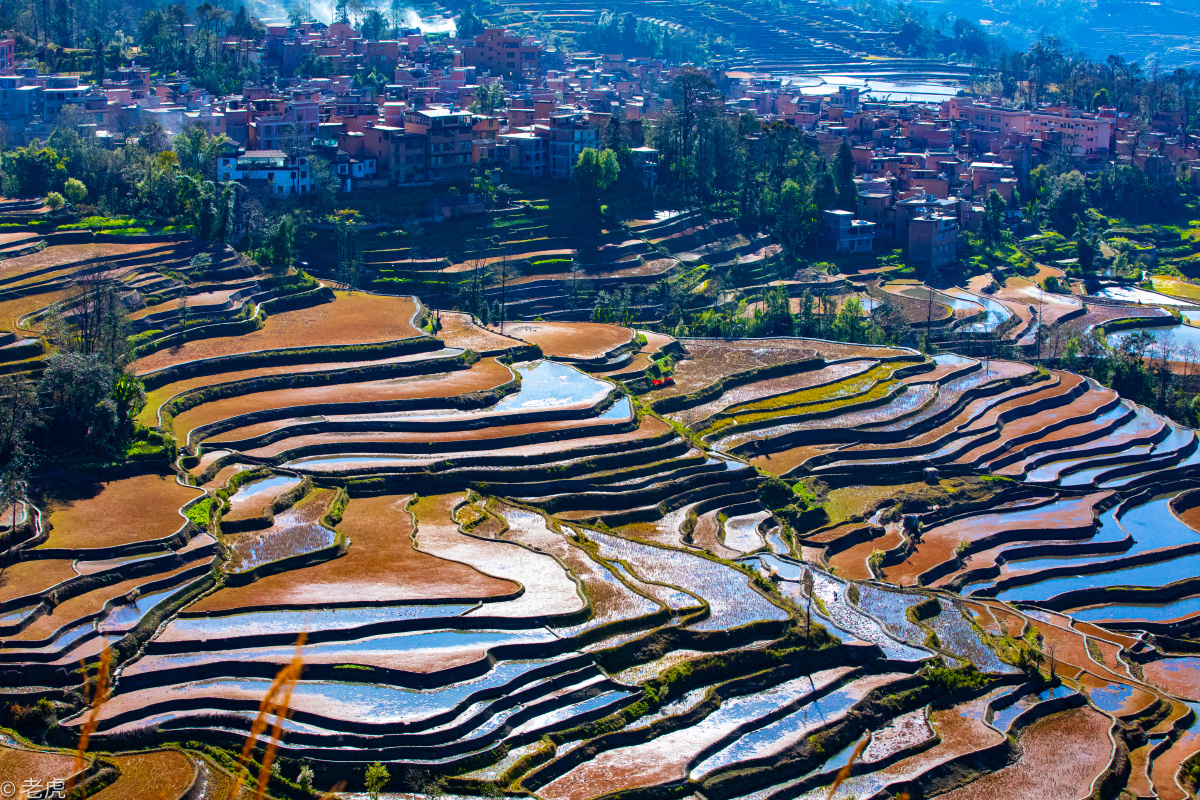 元阳梯田老鹰嘴