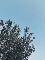 C831BE16-EE5E-4386-9131-F1998D7D7387/L0/001