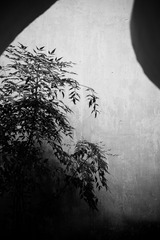 D26DF2FB-D5EE-4EE0-B96B-A49DEA243D87/L0/001