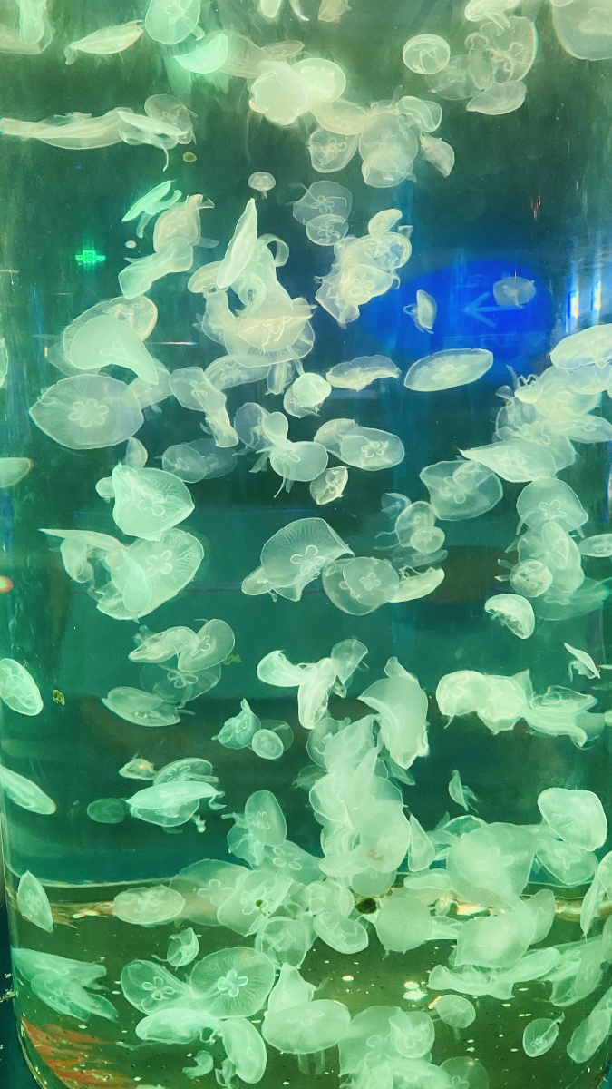 青岛极地海洋世界