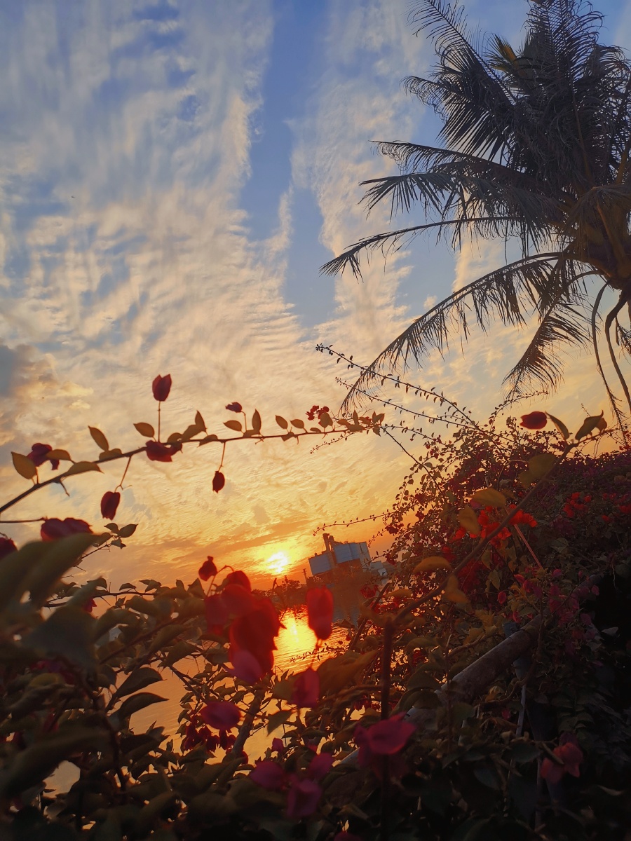 心美景美 - 不值一提的某 - 图虫