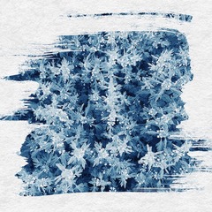 949AB623-5B90-43EE-9AA2-5E6F887D5587/L0/001