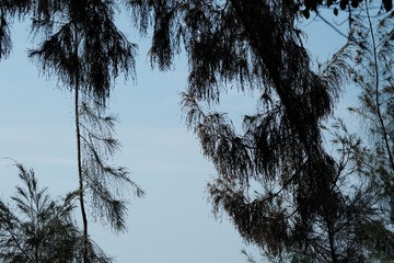 5B6328DF-1867-4E2E-B80D-D39B3C6D4022/L0/001