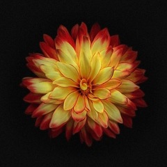 1E36B80B-08FE-486C-97C4-A2E781AB10B4/L0/001