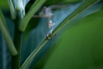 55D0978A-CEA0-49B6-9D7C-CF910B92F8D6/L0/001