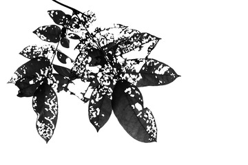 DEA34F4A-4E8E-4B3A-9B11-7B9702ABE407/L0/001