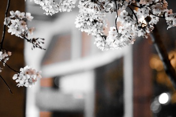 55860FD6-7795-46D0-BB71-6EFDB22A8D08/L0/001