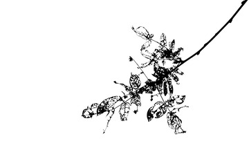 34A89F54-1E05-4CB3-9109-BF0D20D8927F/L0/001