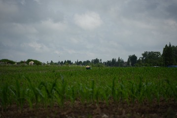 B91950D2-2B7C-426A-83D7-2B1BA0128CF2/L0/001