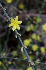 IMG_3665_resize