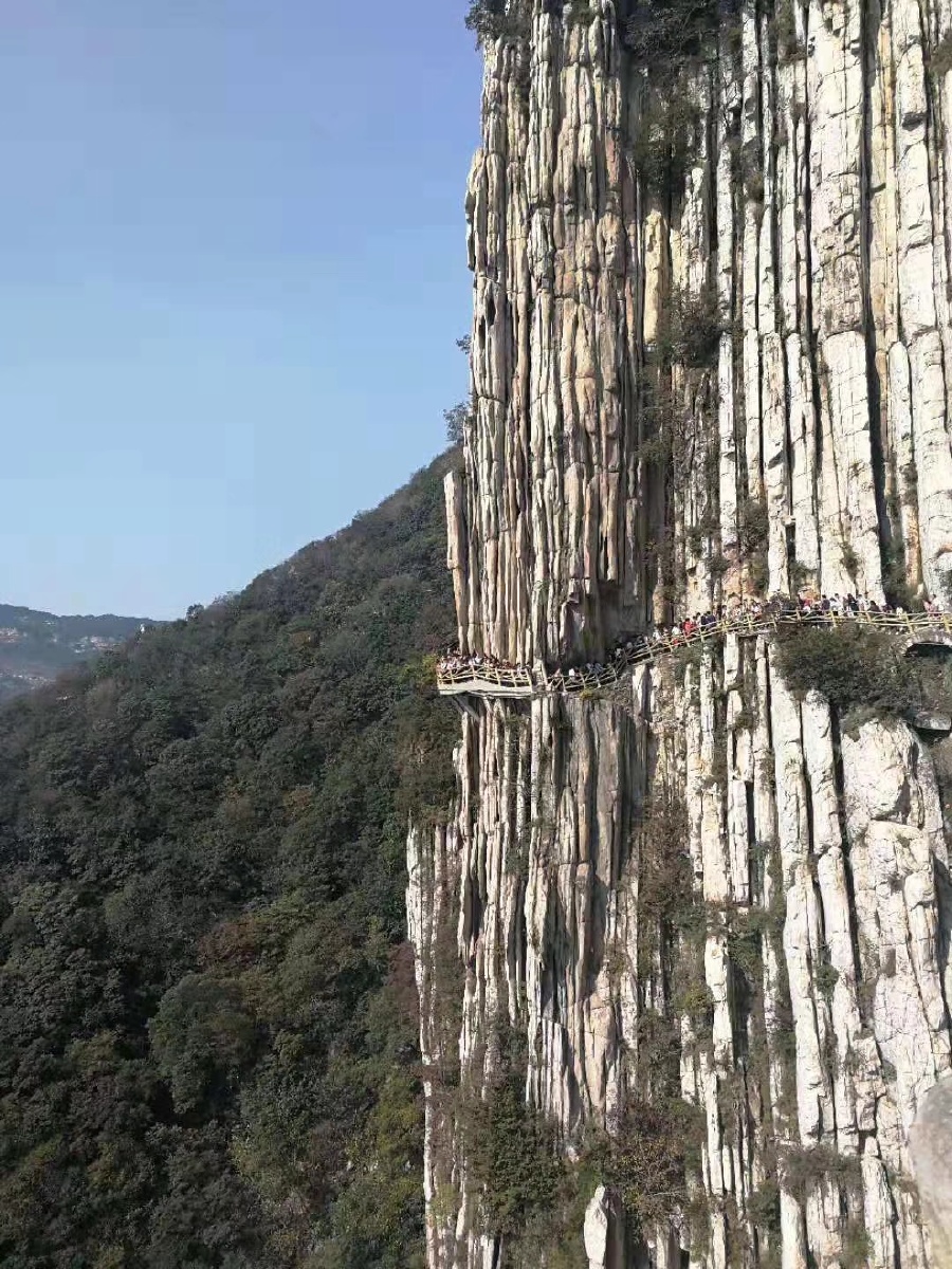 峻山说的就是它