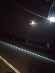 259