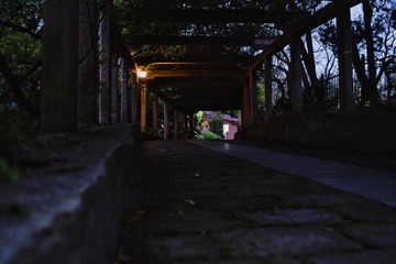0A35E625-1A14-4479-AA01-E3F8CEB5D222/L0/001