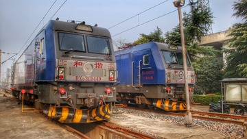 15463