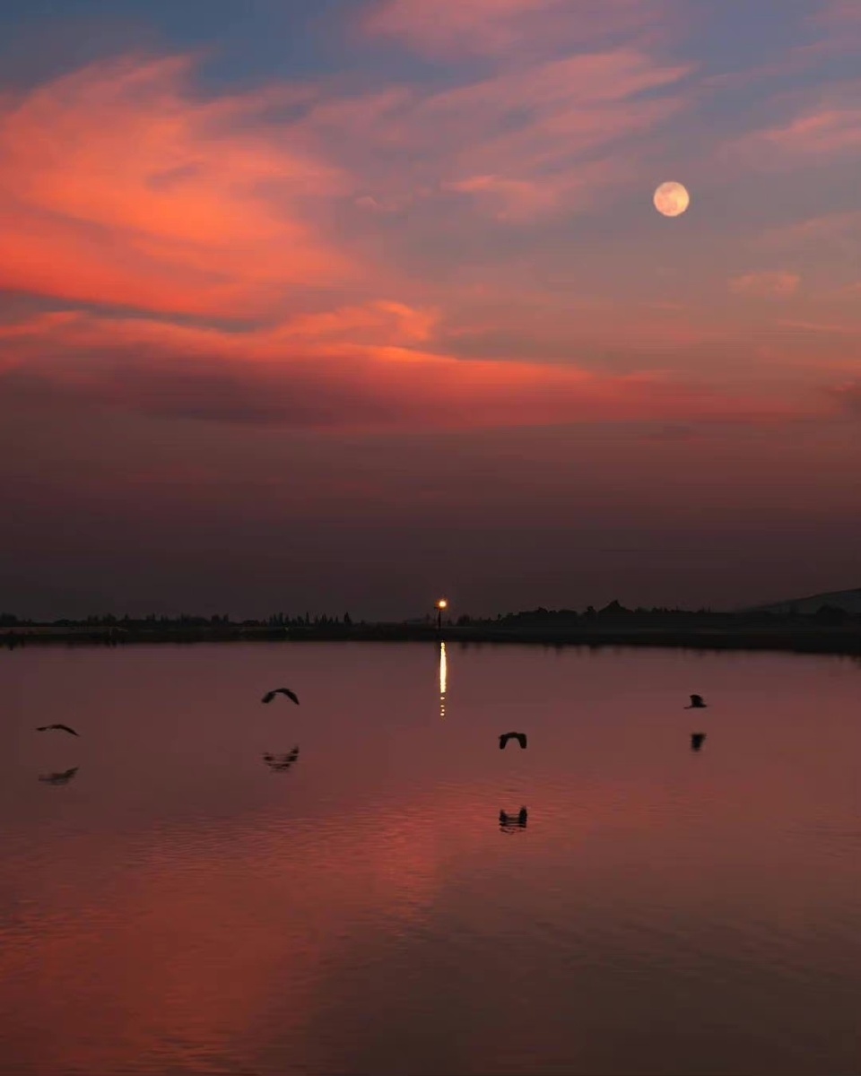 莫道桑榆晚人间重晚晴67