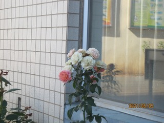 7A7DEF5D-588D-4BCD-9ABC-AB80D26432C4/L0/001
