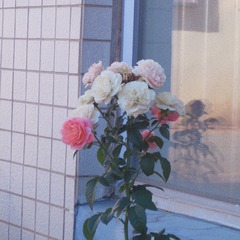 84381D67-B7B4-479A-B3A2-B9FD920BA4D2/L0/001