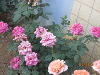 F5A3CB94-16DA-4681-A237-629E4B7A7204/L0/001