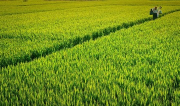 IMGP5814-编辑.jpg
