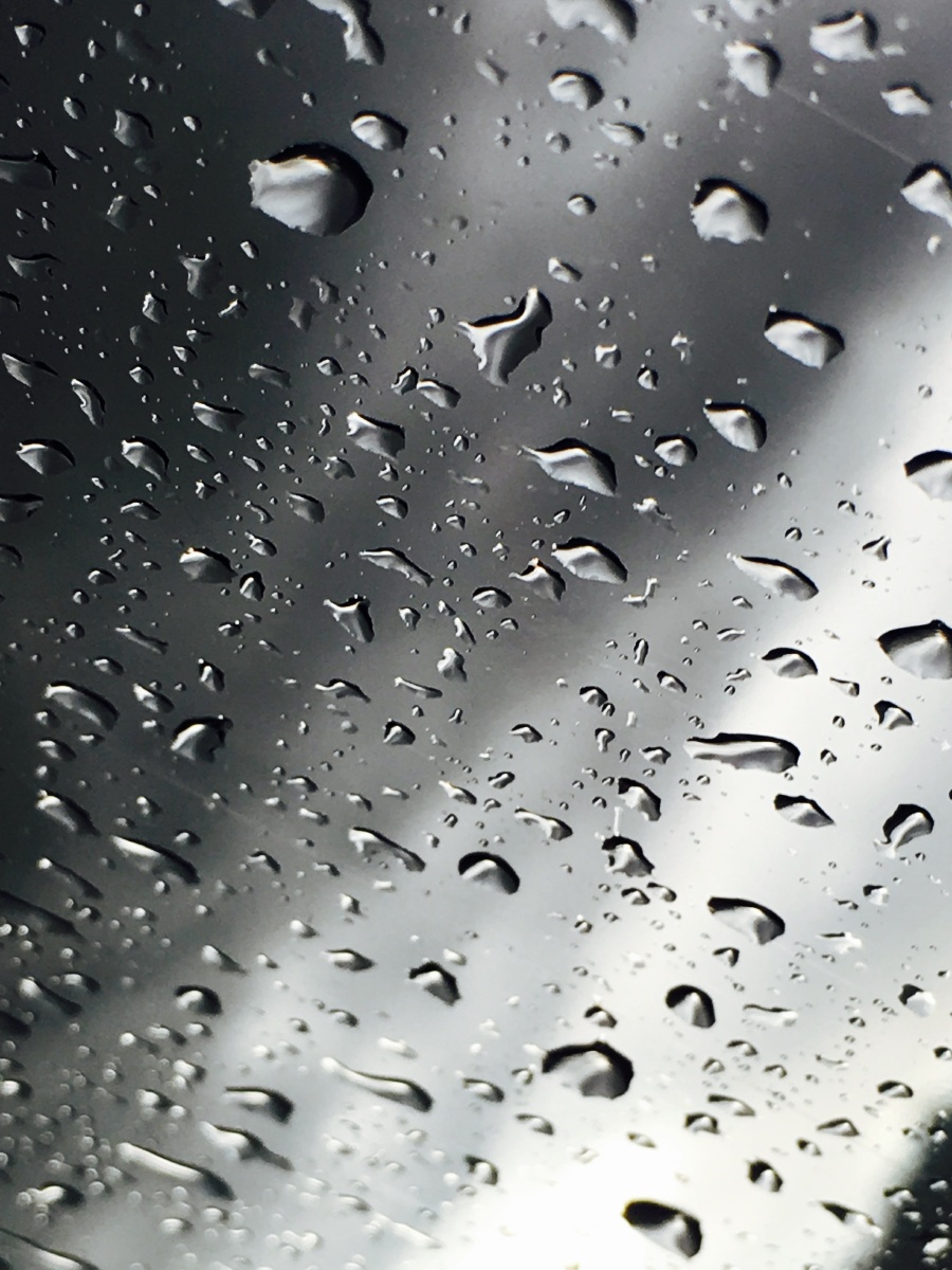 雨天的水滴(拍自手机)