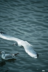 60FB6380-9F1B-4F21-8B87-B27512360DF5/L0/001