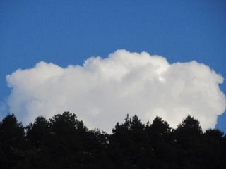 F472CA21-8176-4014-8ED0-DD0EC34AAB8E/L0/001