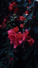 66F346ED-B37E-42D0-A9C4-68A4CD86F5A5/L0/001