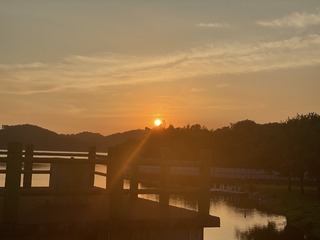 CA56E16E-8D40-4634-BC2C-91273EF70695/L0/001