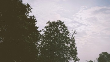 F36AC1F3-2C1B-49C0-B76C-51F16332A67B/L0/001