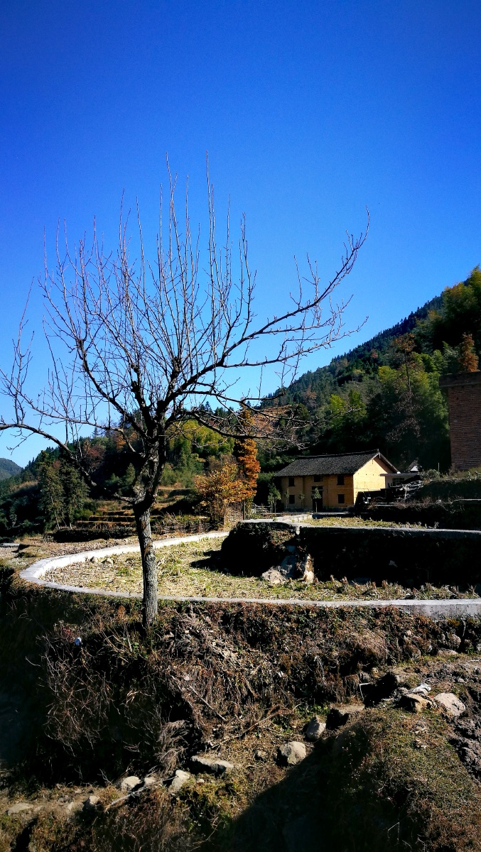 山村秋景