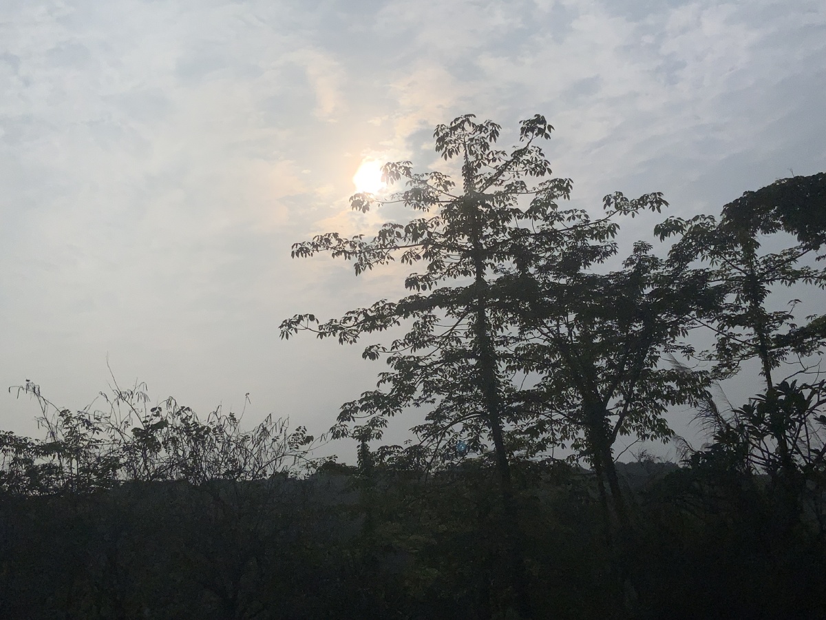 下午的太阳绝了