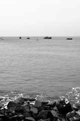 DSC_0450-1-2.jpg