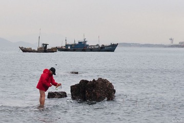 DSC_0472-1.jpg