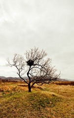 DSC_0409-2.jpg