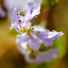 DSC_0140-2