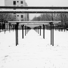 WP_000109