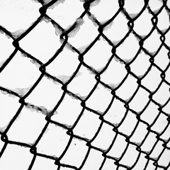 WP_000136