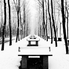 WP_000138