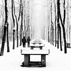WP_000142-2