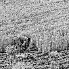DSC_0328-3-3