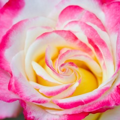 DSC_0104-2
